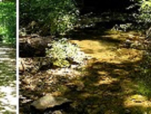 Glover Archbold Park Glover Archbold Park