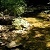 Glover Archbold Park